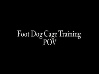 Fuß Hundebox Ausbildung pov