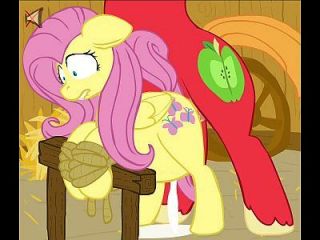 mein kleines pony fluttershy